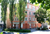 02 Mehrfamilienhaus Muenchen Lindwurmstraße kl